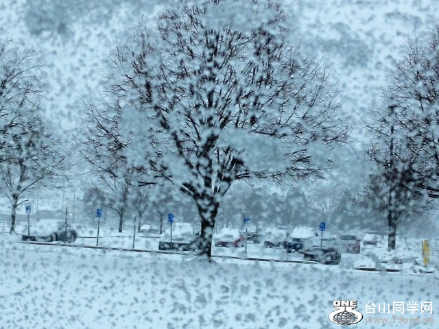 snow3.JPG