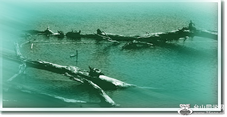 IMG_6553____.jpg