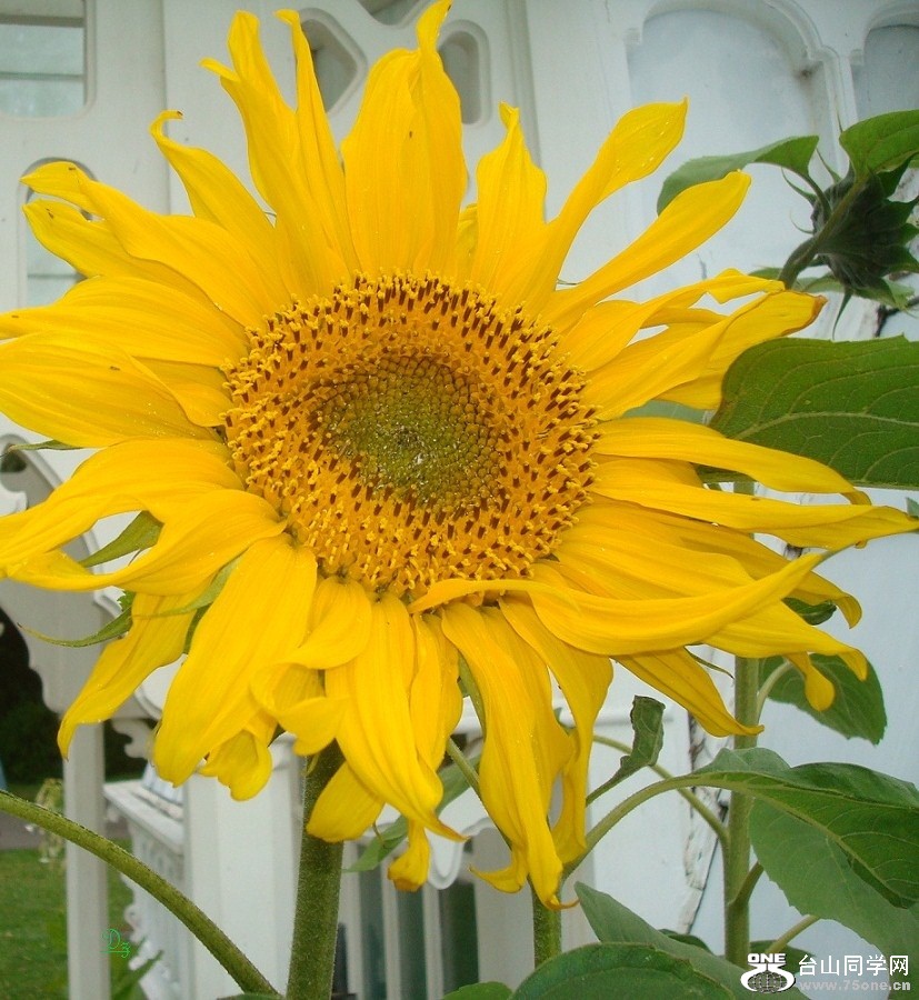 DSC01296-d.jpg