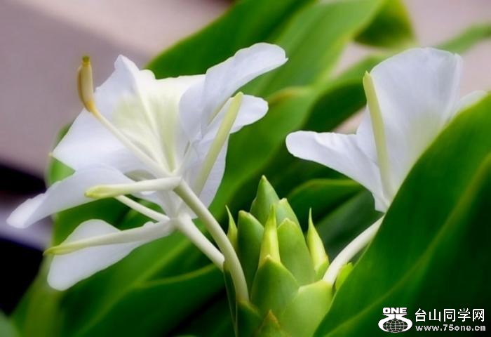 159_6619_f54f9316dfc9fb5-copy.jpg
