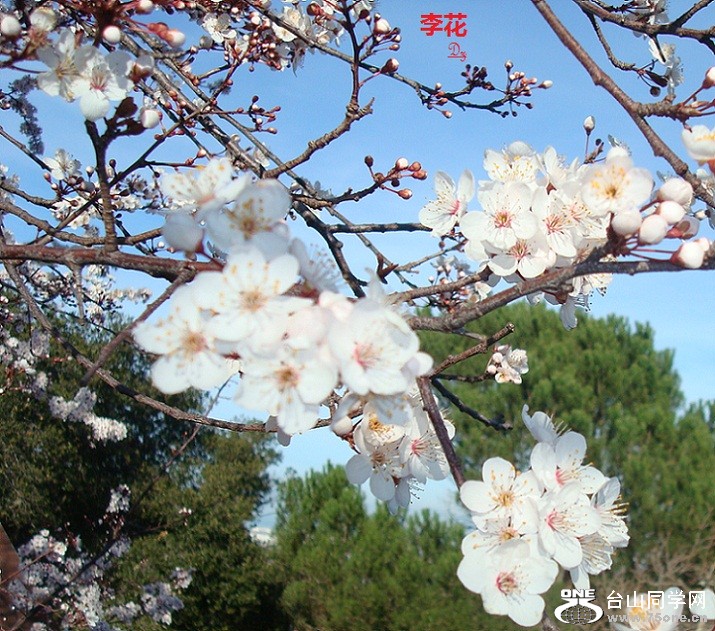 DSC06870-2.jpg