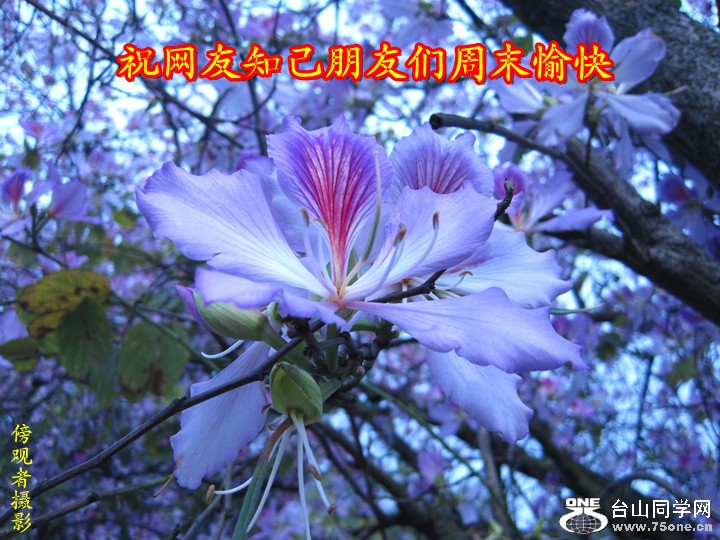 Ƭ 078_2.jpg