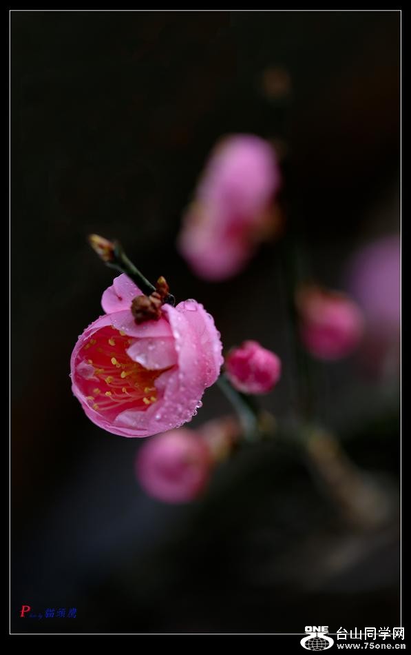 }u -}u -33-087-6.jpg