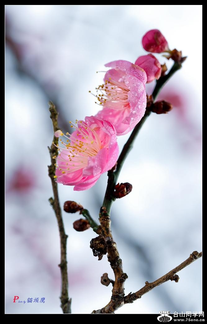 }u (2) -40-137-2.jpg