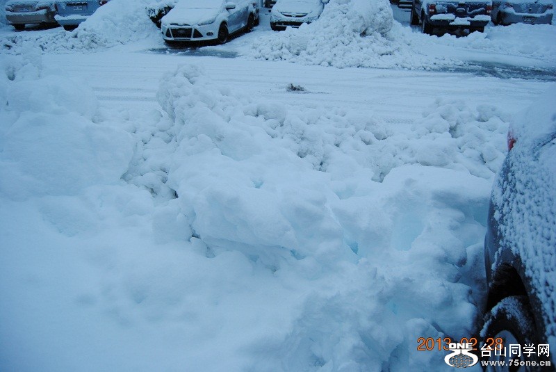 DSC_0244.JPG