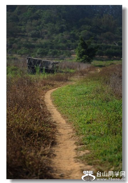 ������ 024.jpg