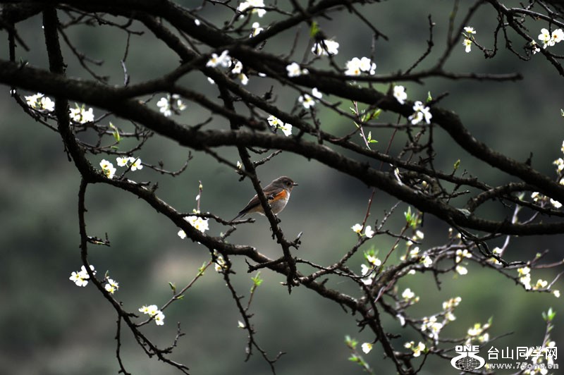 ����ɽˮ 1439.jpg