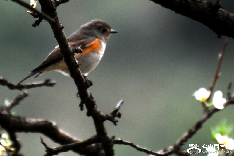 ����ɽˮ 1438.jpg