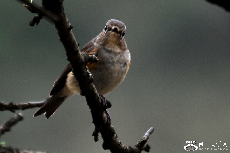 ����ɽˮ 1435.jpg