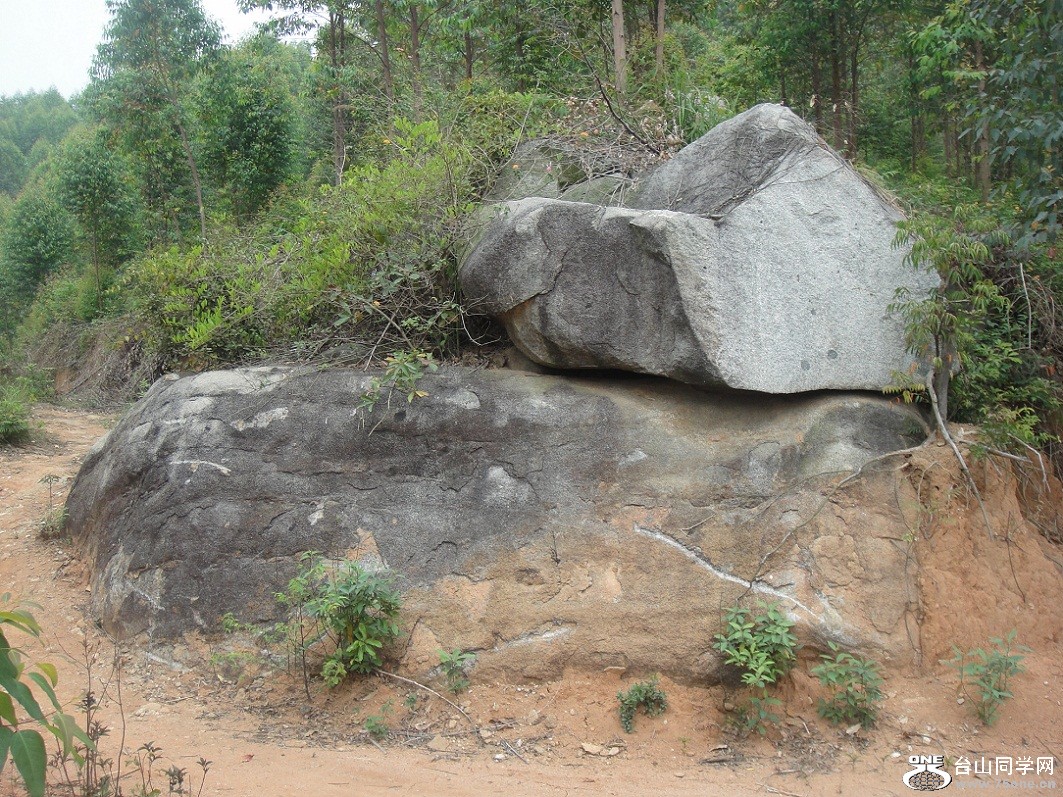 DSC07064.JPG