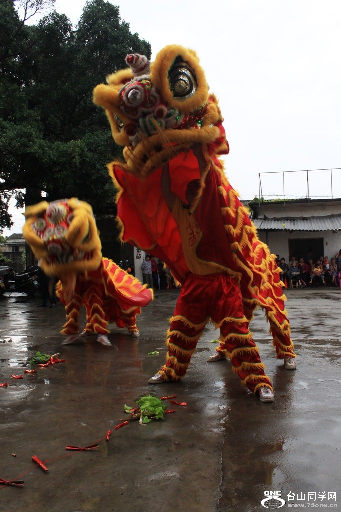 IMG_2211.jpg
