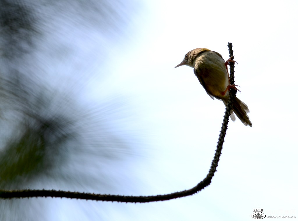 DSC_2606.jpg