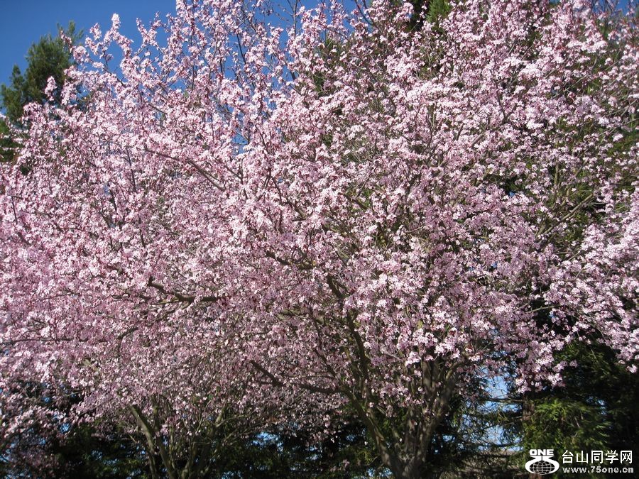 IMG_2035.JPG