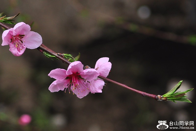 CSC_0944_.jpg