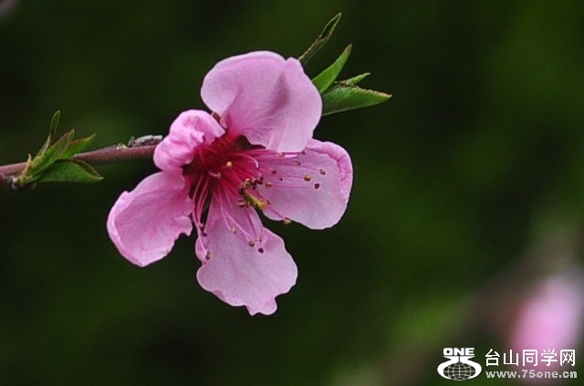 CSC_0943_.jpg