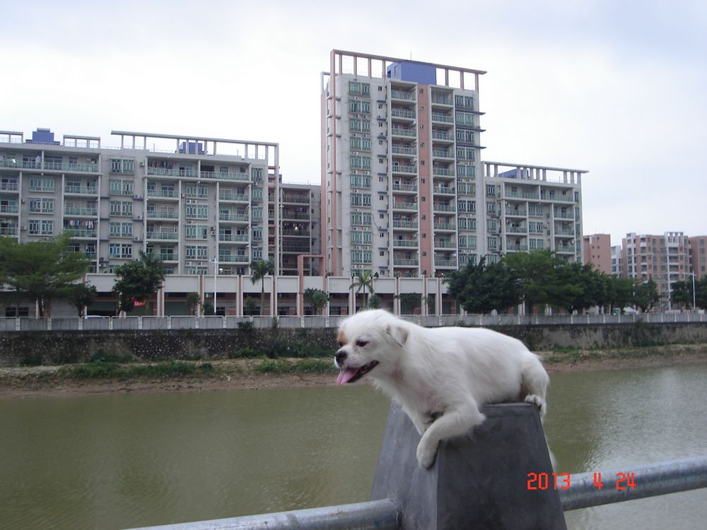 nEO_IMG_DSC03805.jpg