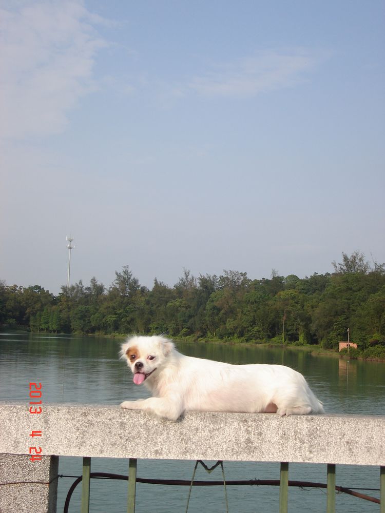 nEO_IMG_DSC03794.jpg