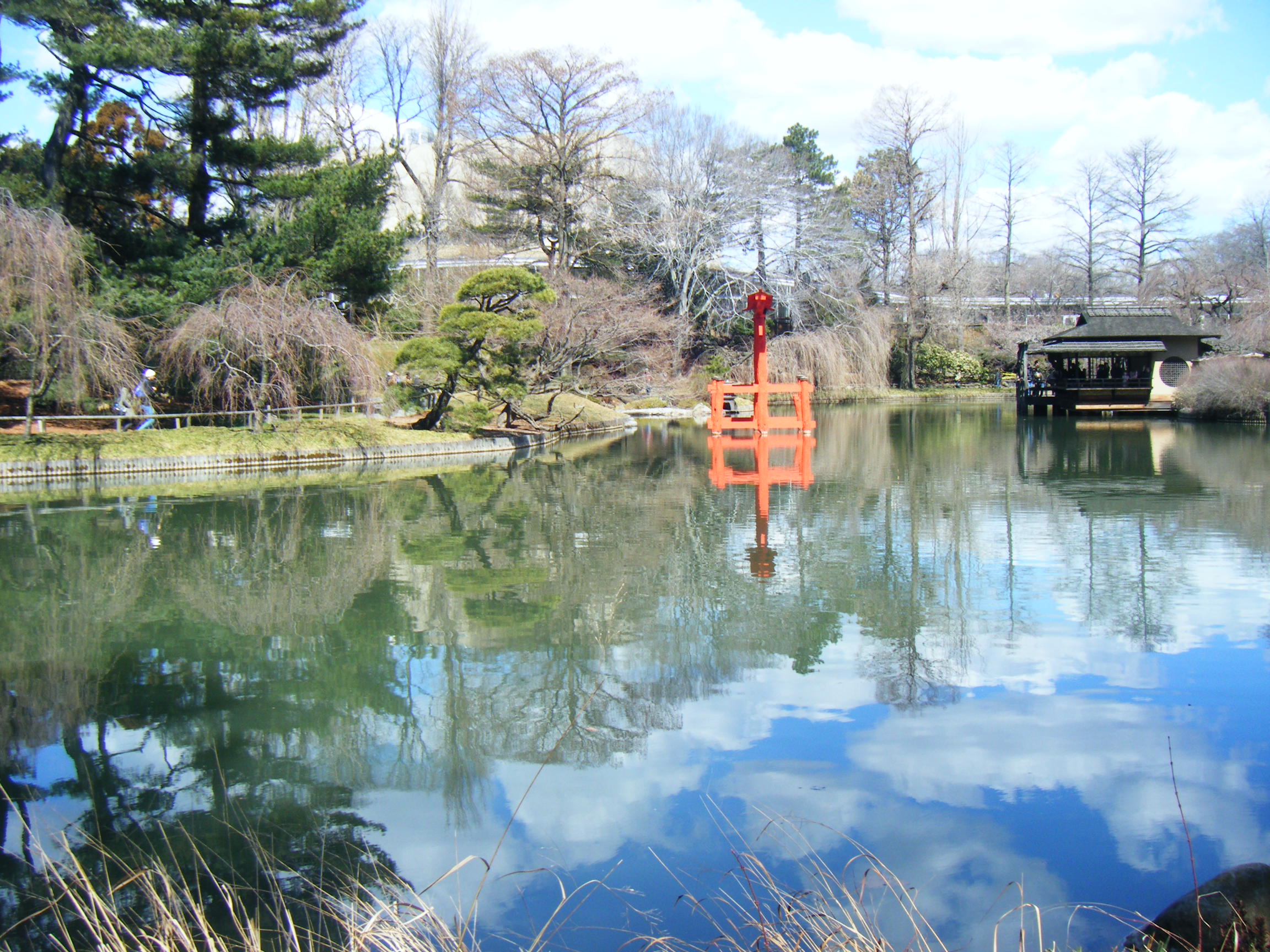 ձ@Brooklyn Botanic Garden һ[ 155.JPG