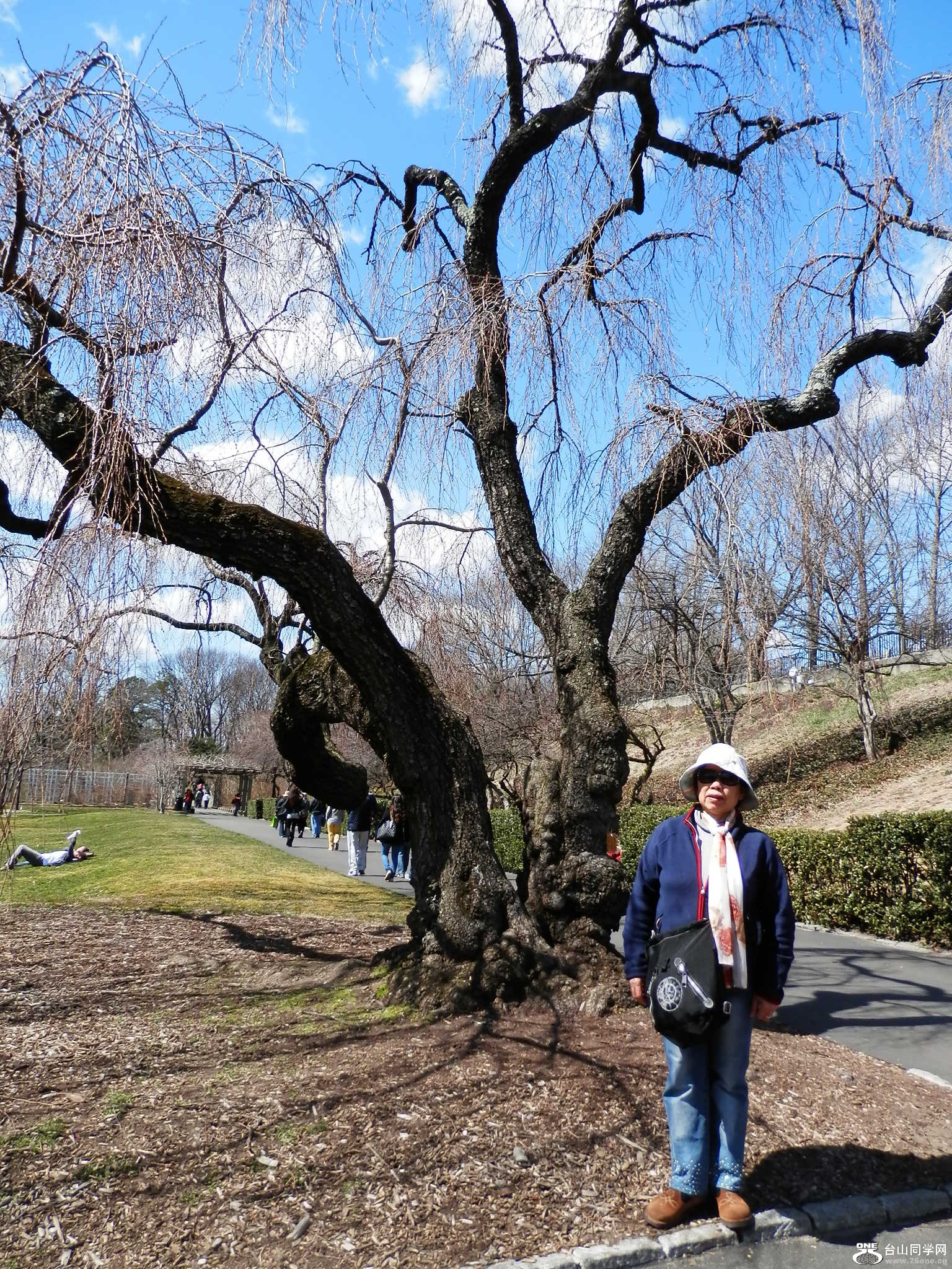 ձ@ (Brooklyn botanic Garden) һ[ 182.JPG