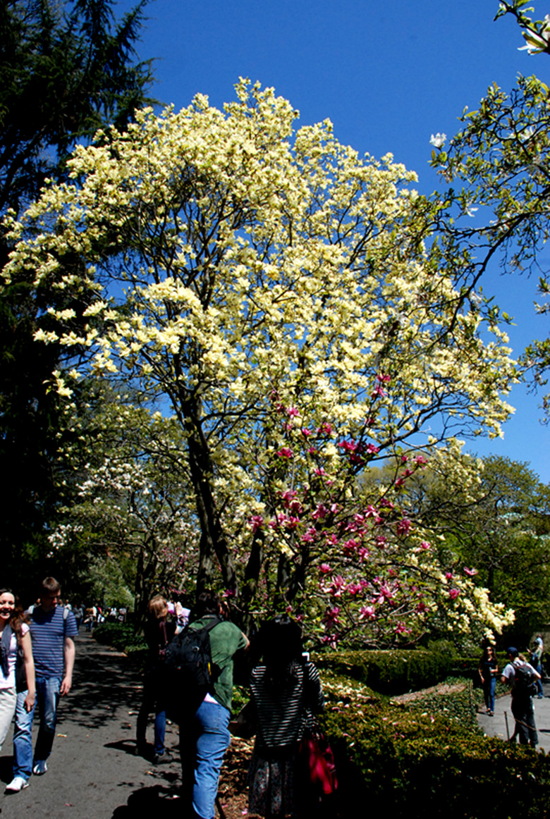 DSC_0065_.jpg