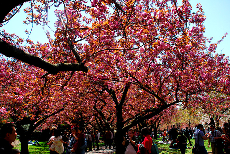 DSC_0094_.jpg