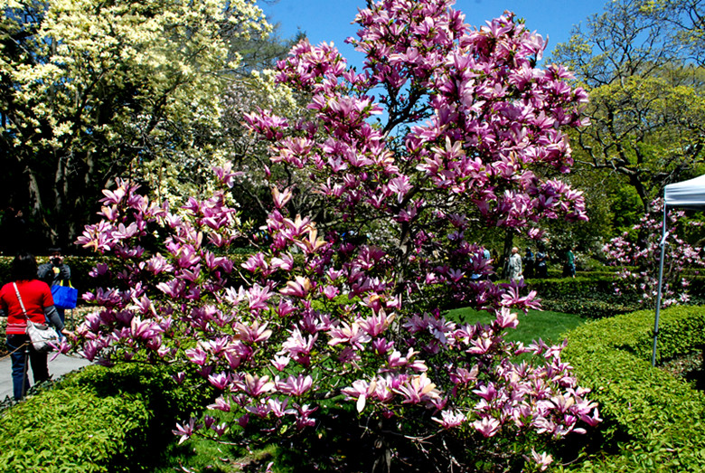 DSC_0064_.jpg