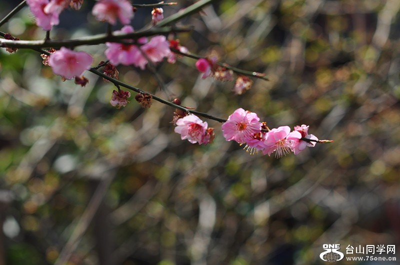 DSC_0704_.jpg