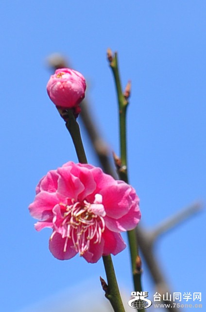 CSC_0637_.jpg