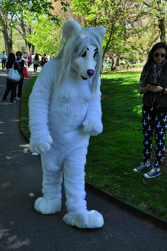 DSC_0298_.jpg