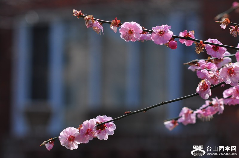 DSC_0700_.jpg