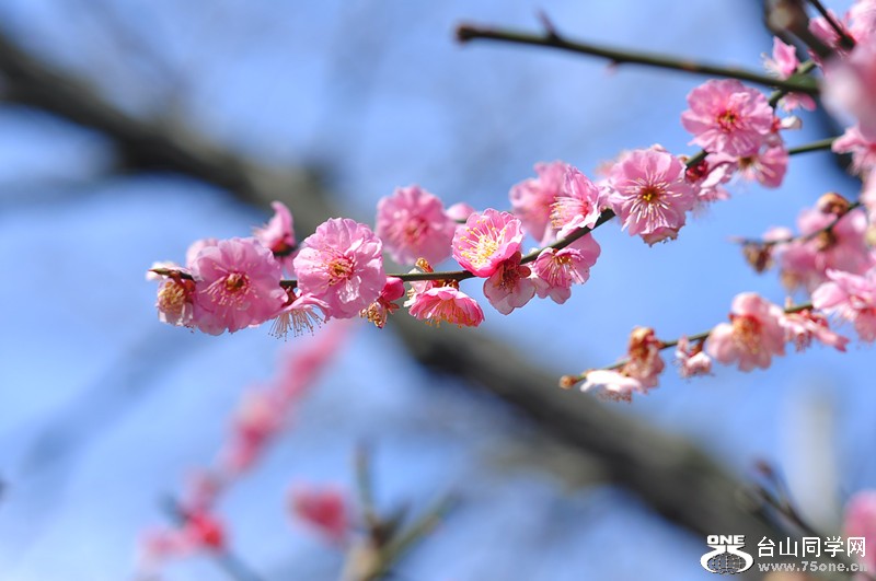 DSC_0689_.jpg