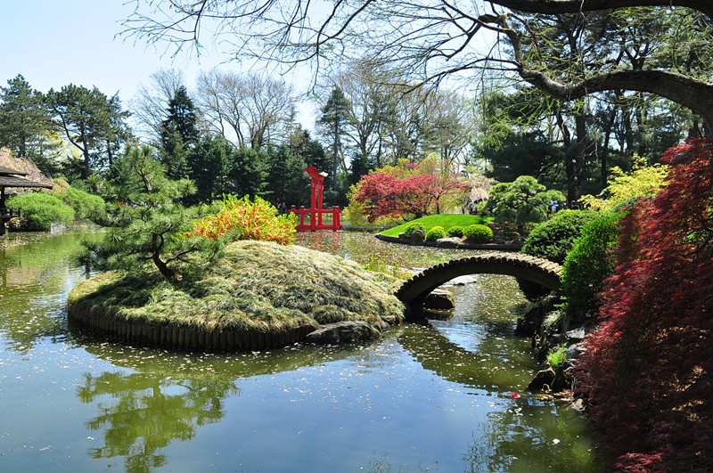 DSC_0335_.jpg