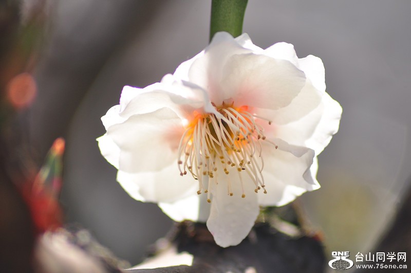 DSC_0671_.jpg