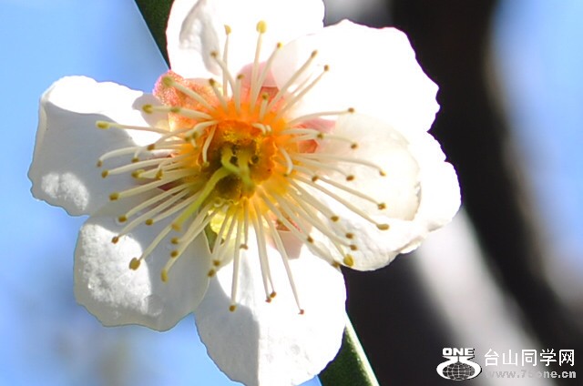 CSC_0675_.jpg