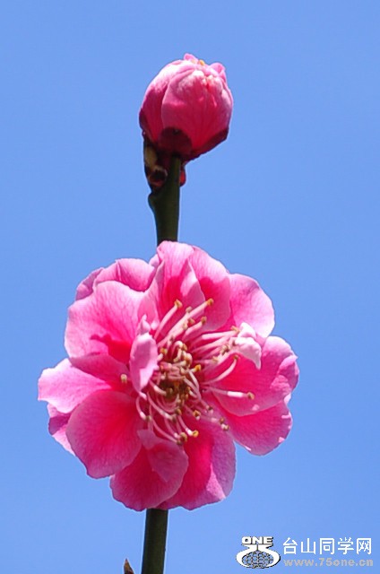 CSC_0680_.jpg