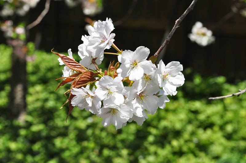 DSC_0326_.jpg