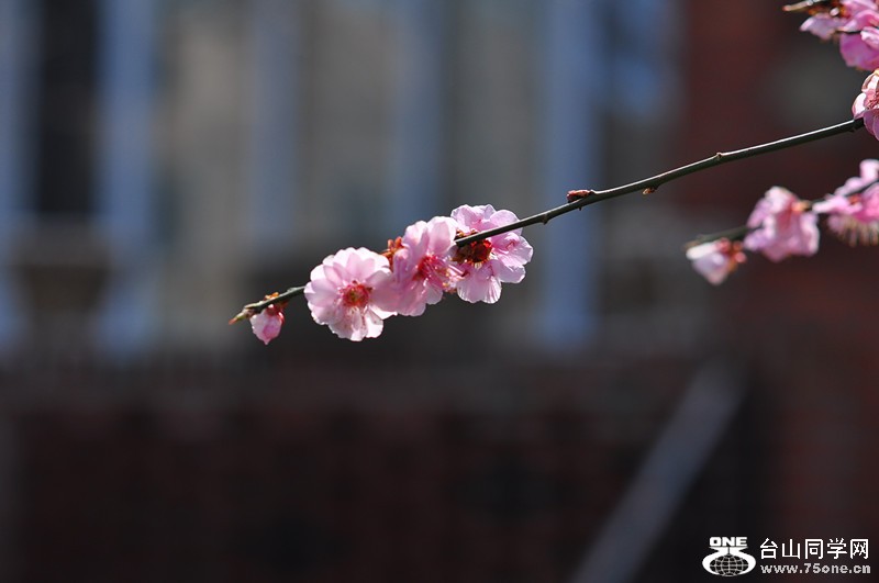 DSC_0703_.jpg