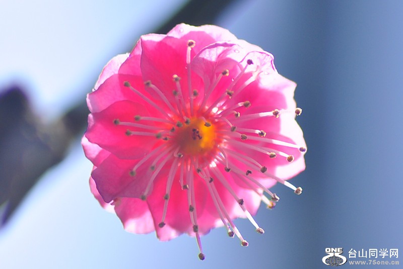 CSC_0650_.jpg