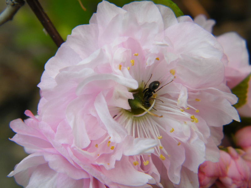 DSCF4166.JPG