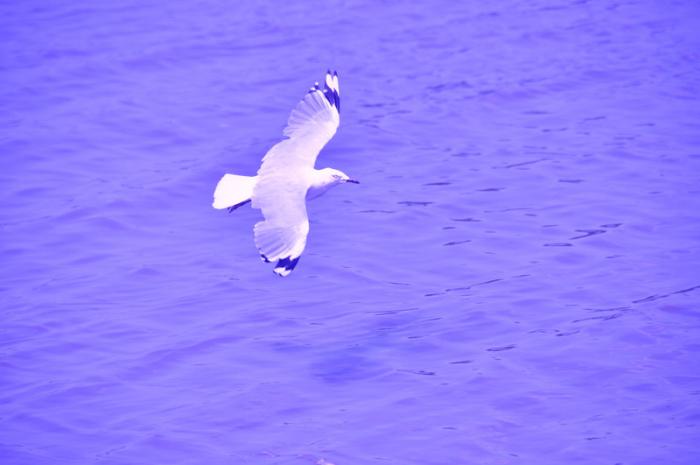 22_8301_c9c47a1dc11c252-copy.jpg