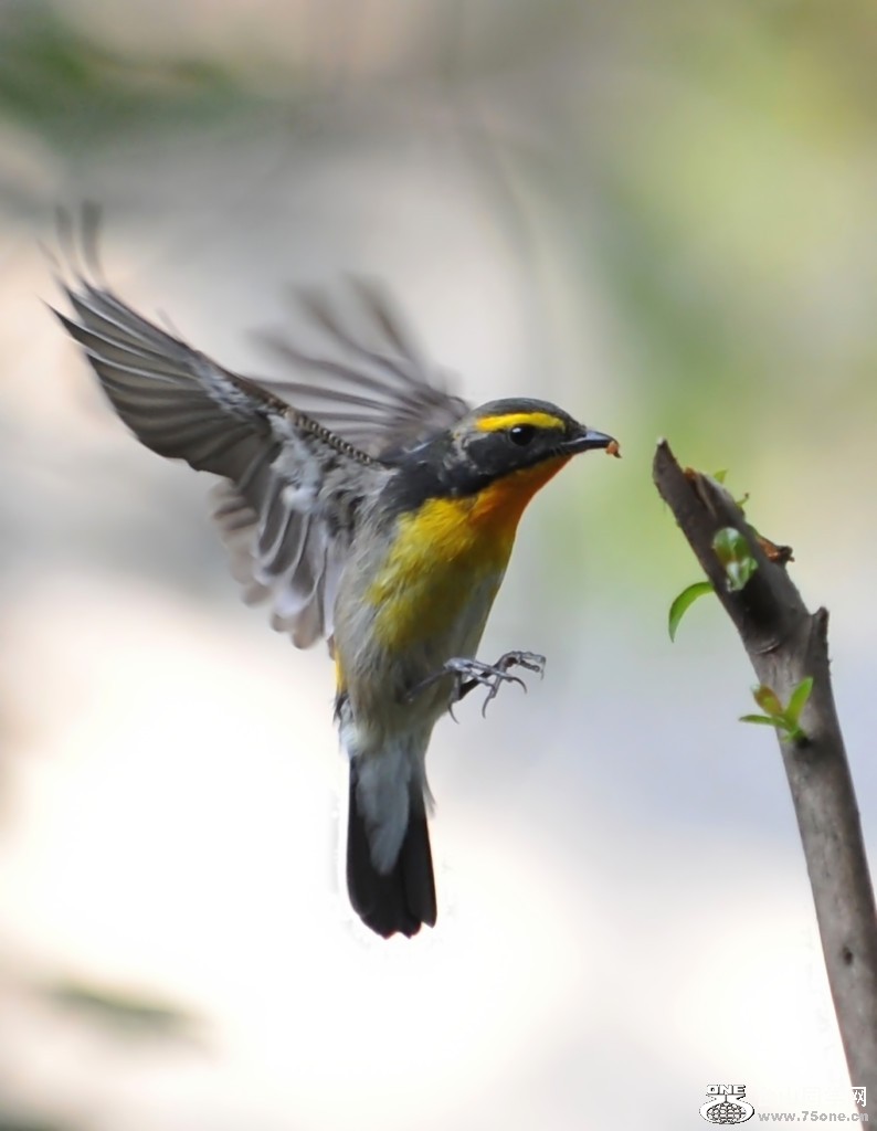 ��Ƭ 69611_����.jpg