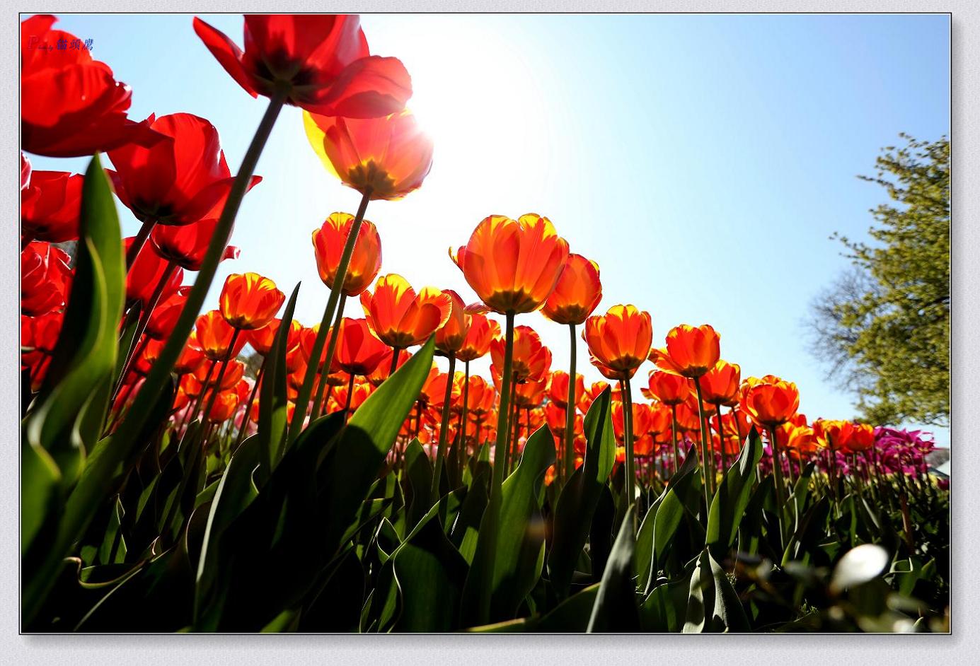 }u -4-25-13߽ 054-2.jpg