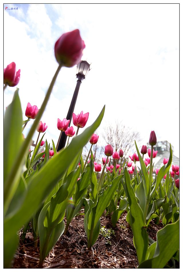 }u -4-16-13ձ@ 335-1.jpg