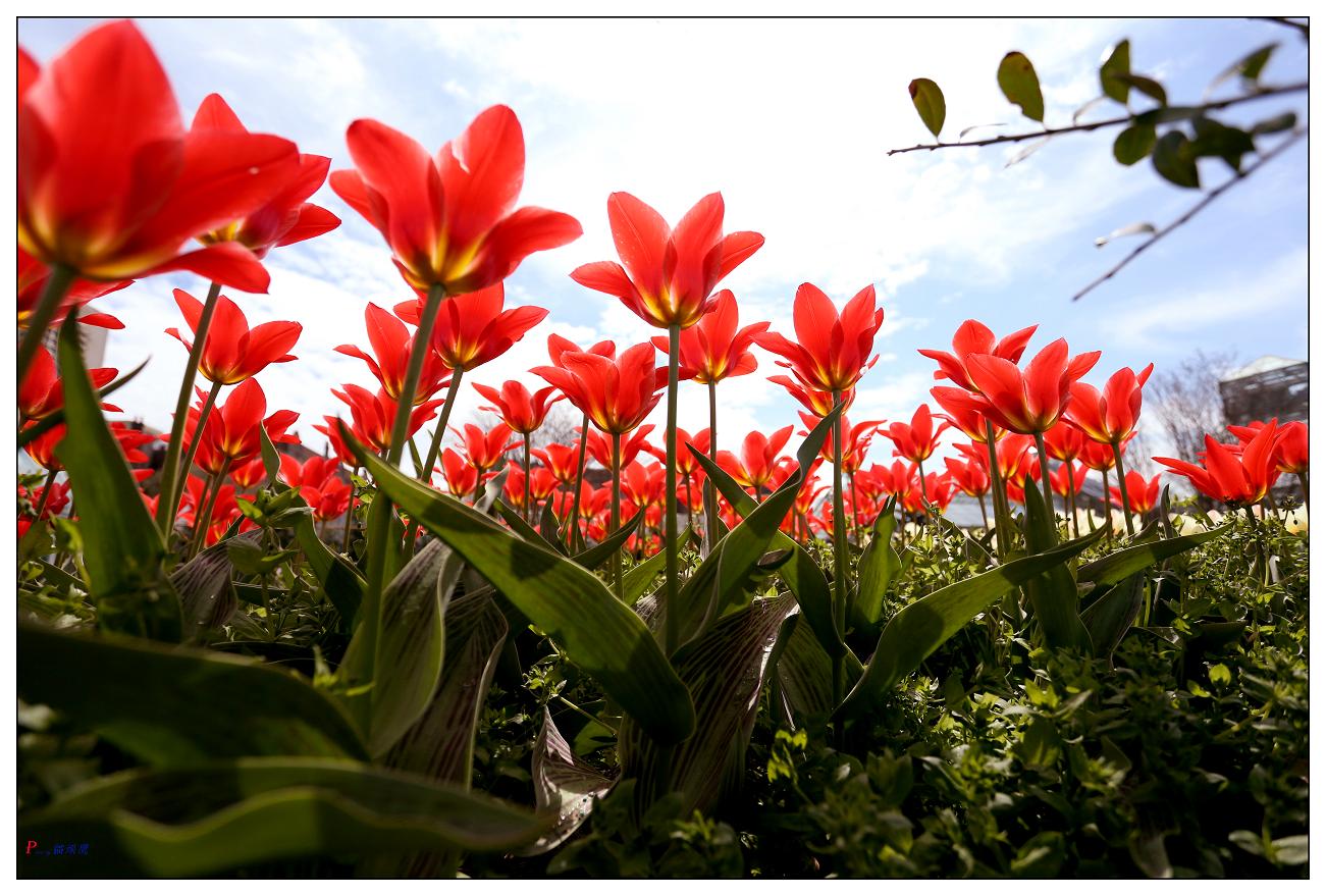 }u -4-16-13ձ@ 386-1.jpg