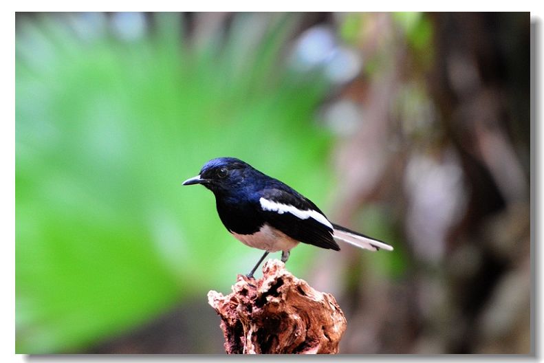 ���� 256(1).jpg