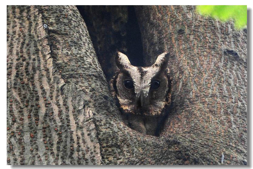 ����2 013.jpg