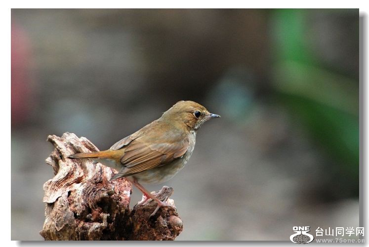 ���� 212.jpg