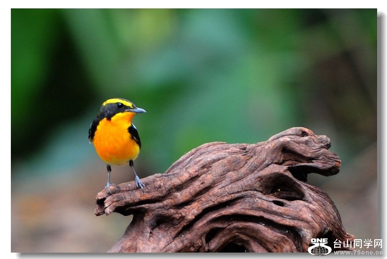 ���� 055.jpg