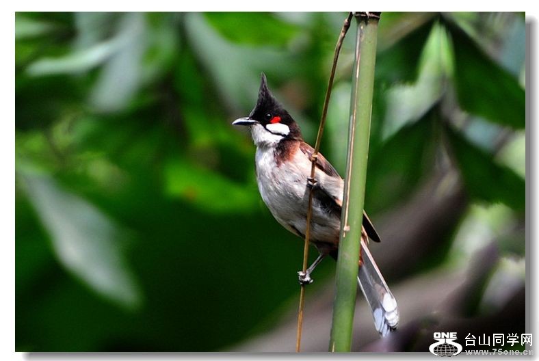 ���� 192.jpg