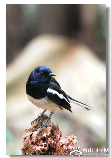 ���� 181(1).jpg